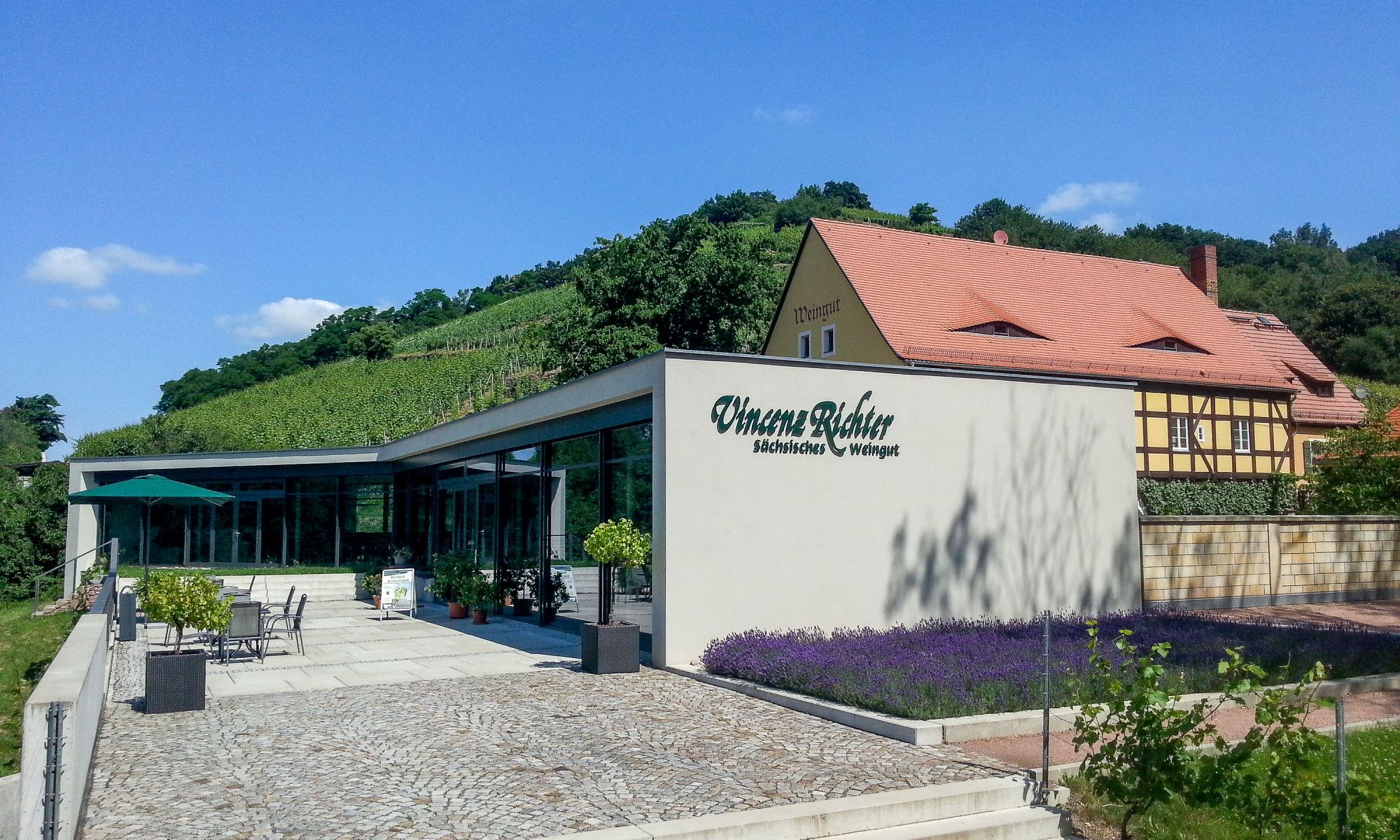 Weingut Vincenz Richter